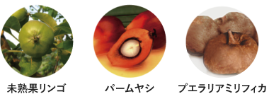 未熟果リンゴ パームヤシ プエラリアミリフィカ